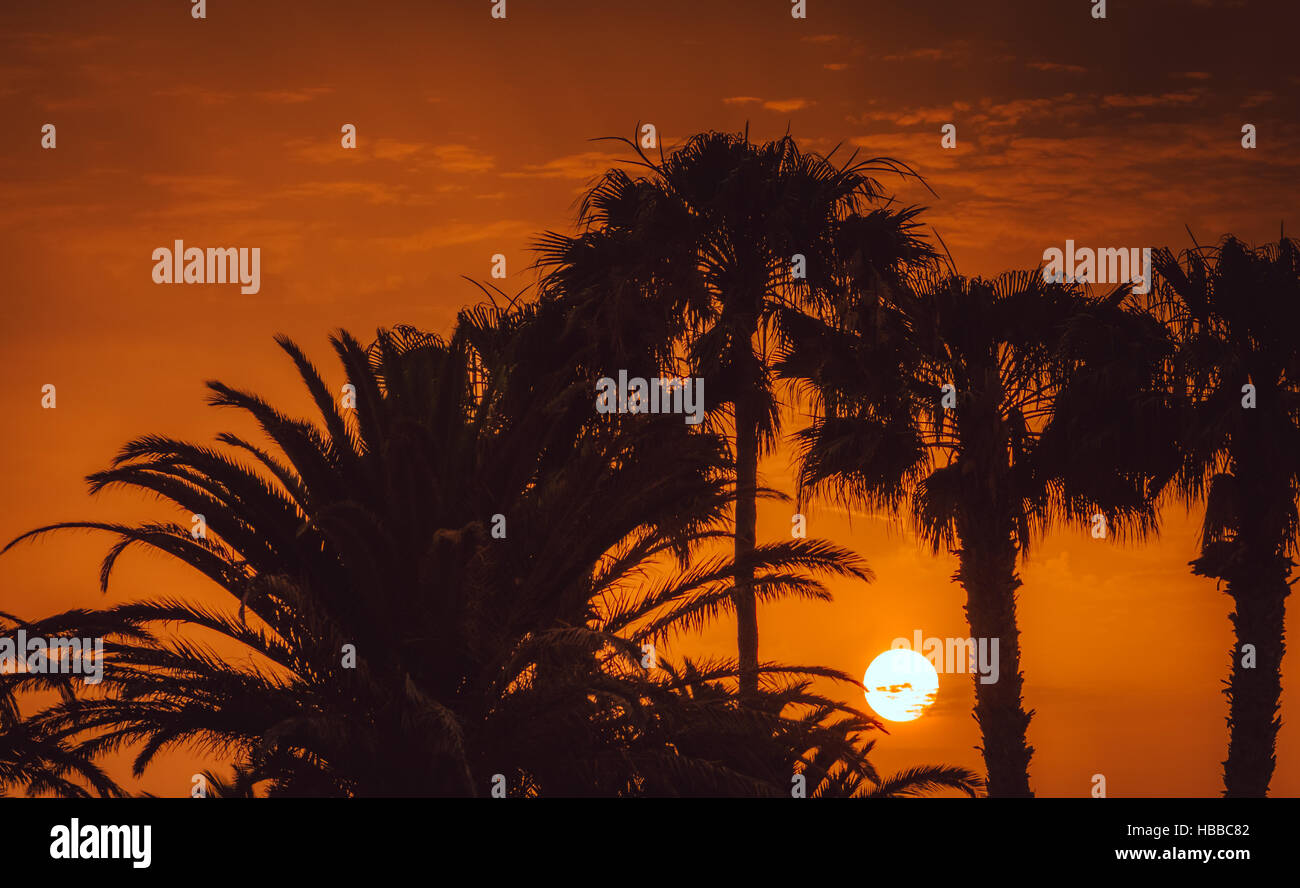 Sonnenuntergang in Maspalomas in Gran Canaria, Kanarische Inseln, Spanien Stockfoto
