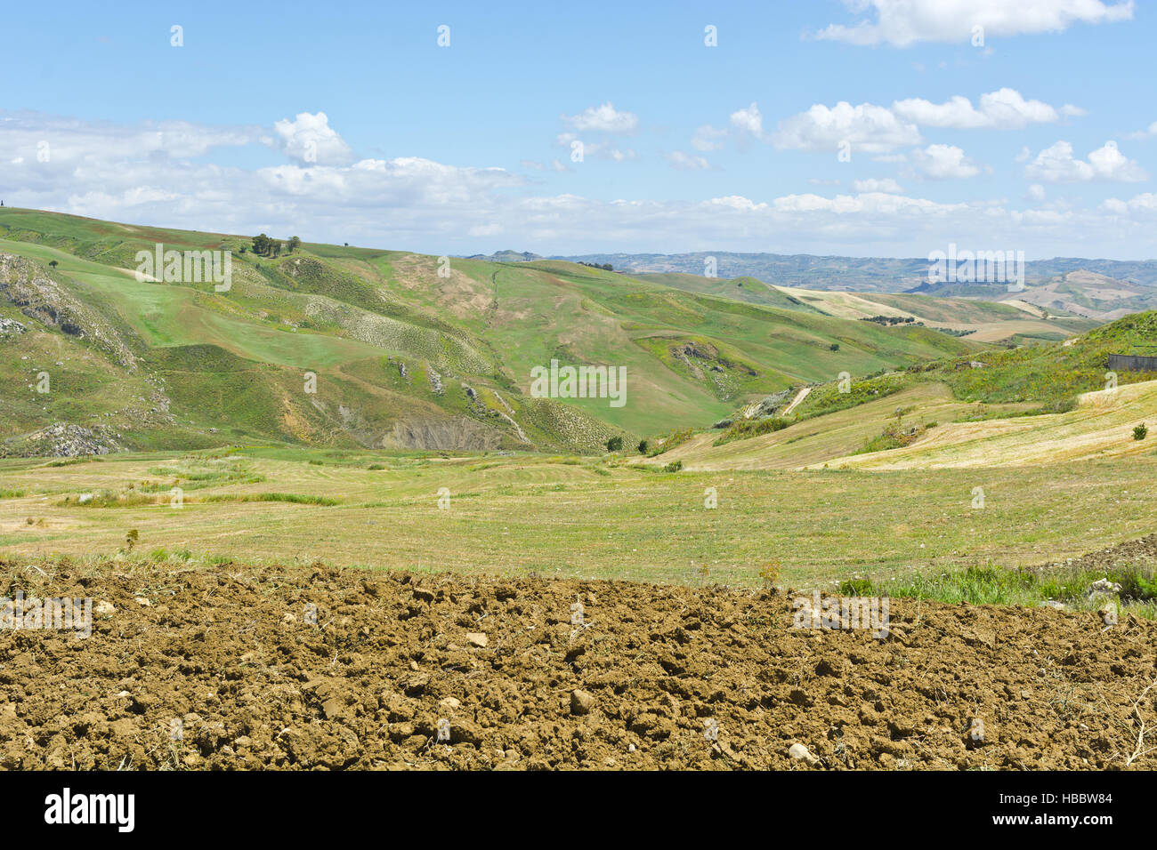 Geernteter Weizen-Felder Stockfoto