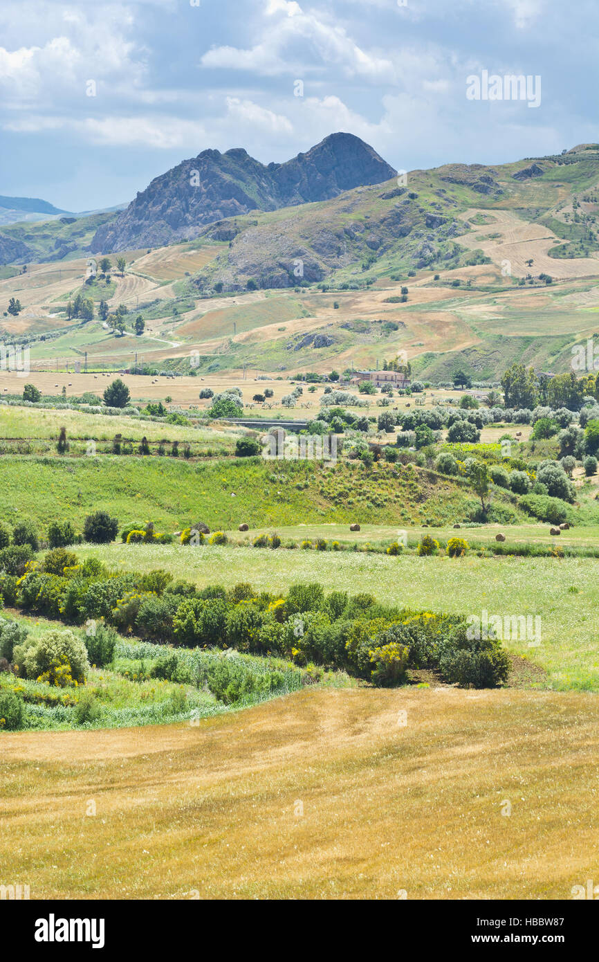 Geernteter Weizen-Felder Stockfoto