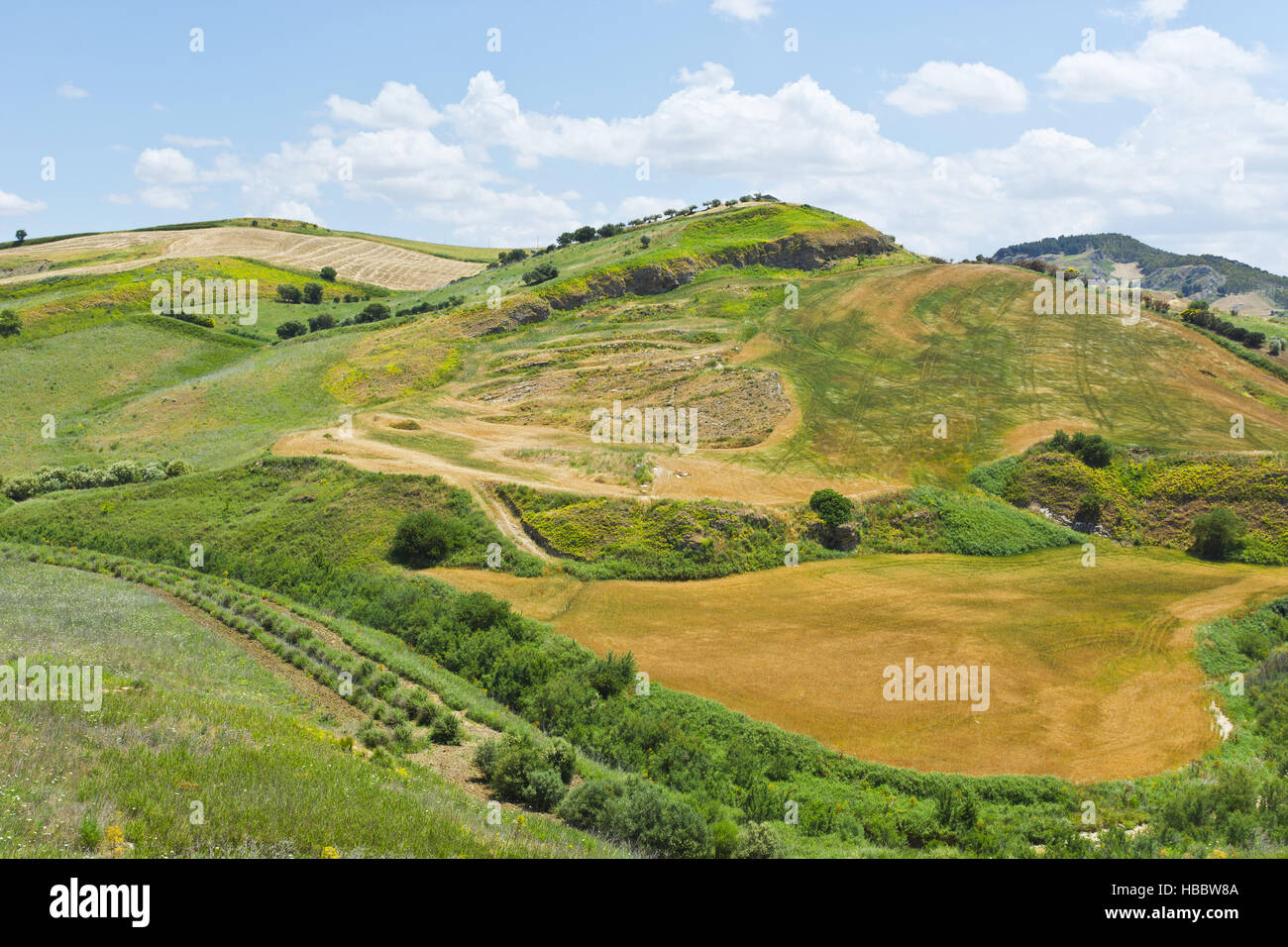 Abgeernteten Weizenfeld Stockfoto