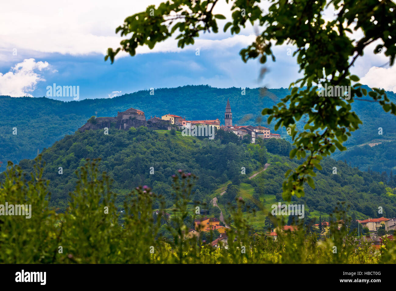Stadt von Buzet auf grünem Hügel Stockfoto