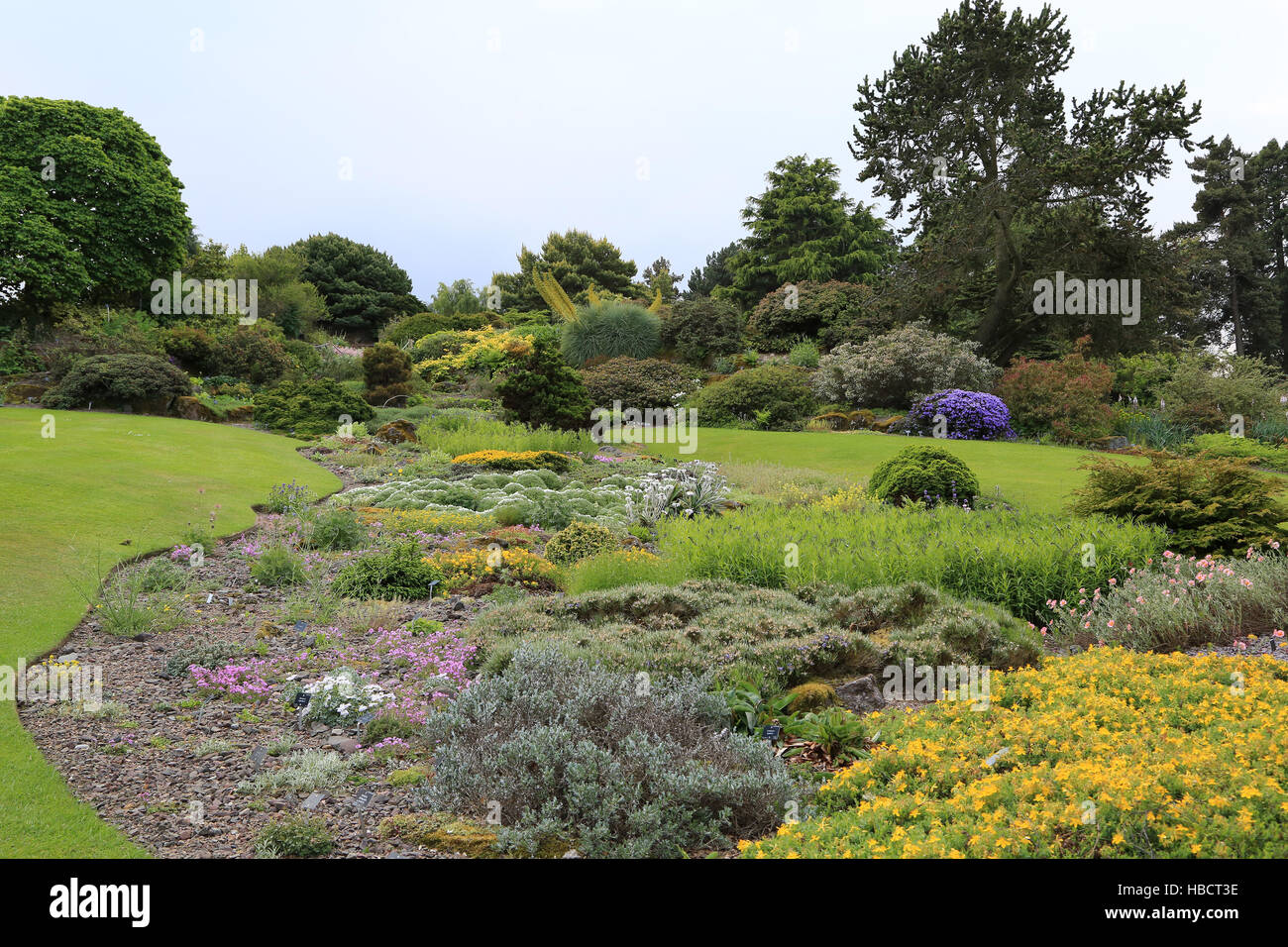 Royal Botanic Garden Edinburgh Steingarten Stockfoto