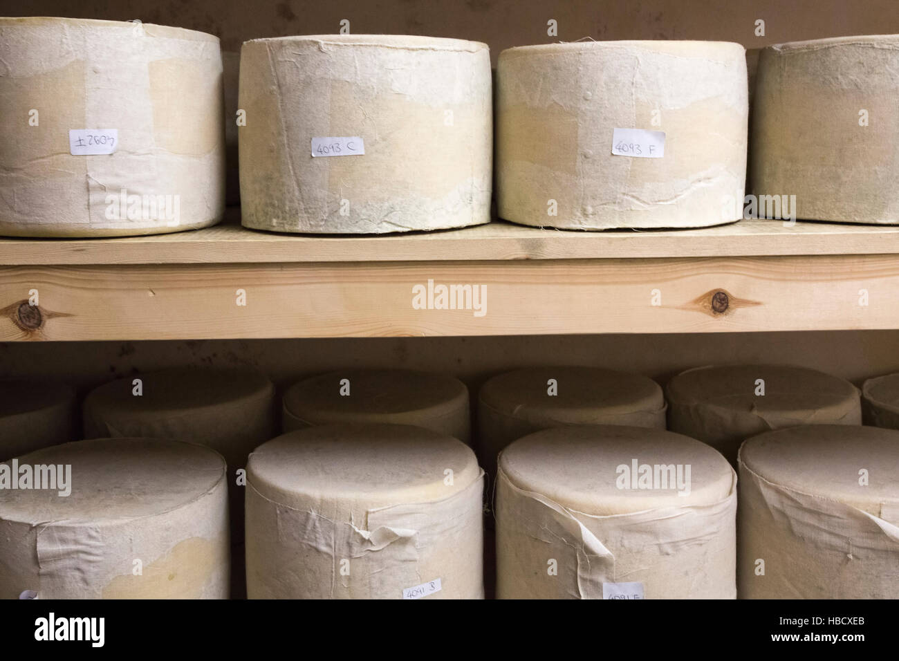 Arbeiten in die Molkerei, Käseherstellung auf dem Bauernhof am Loch Arthur Camphill Gemeinschaft, Beewsing, Dumfries and Galloway, Schottland, UK Stockfoto