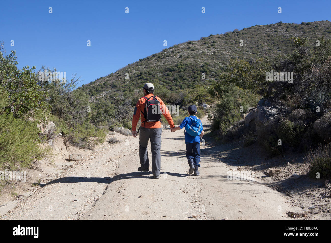 Rückansicht des Mann und Sohn wandern Feldweg in Anden, Valparaiso, Chile Stockfoto
