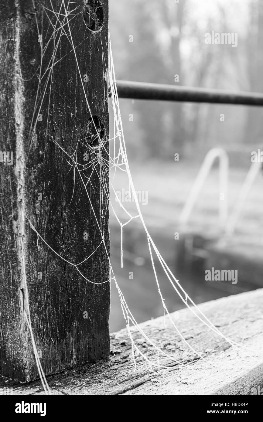 Eine mattierte Spinnennetz auf eine Schleuse auf der Trent & Mersey Canal, Middlewich, Cheshire Stockfoto