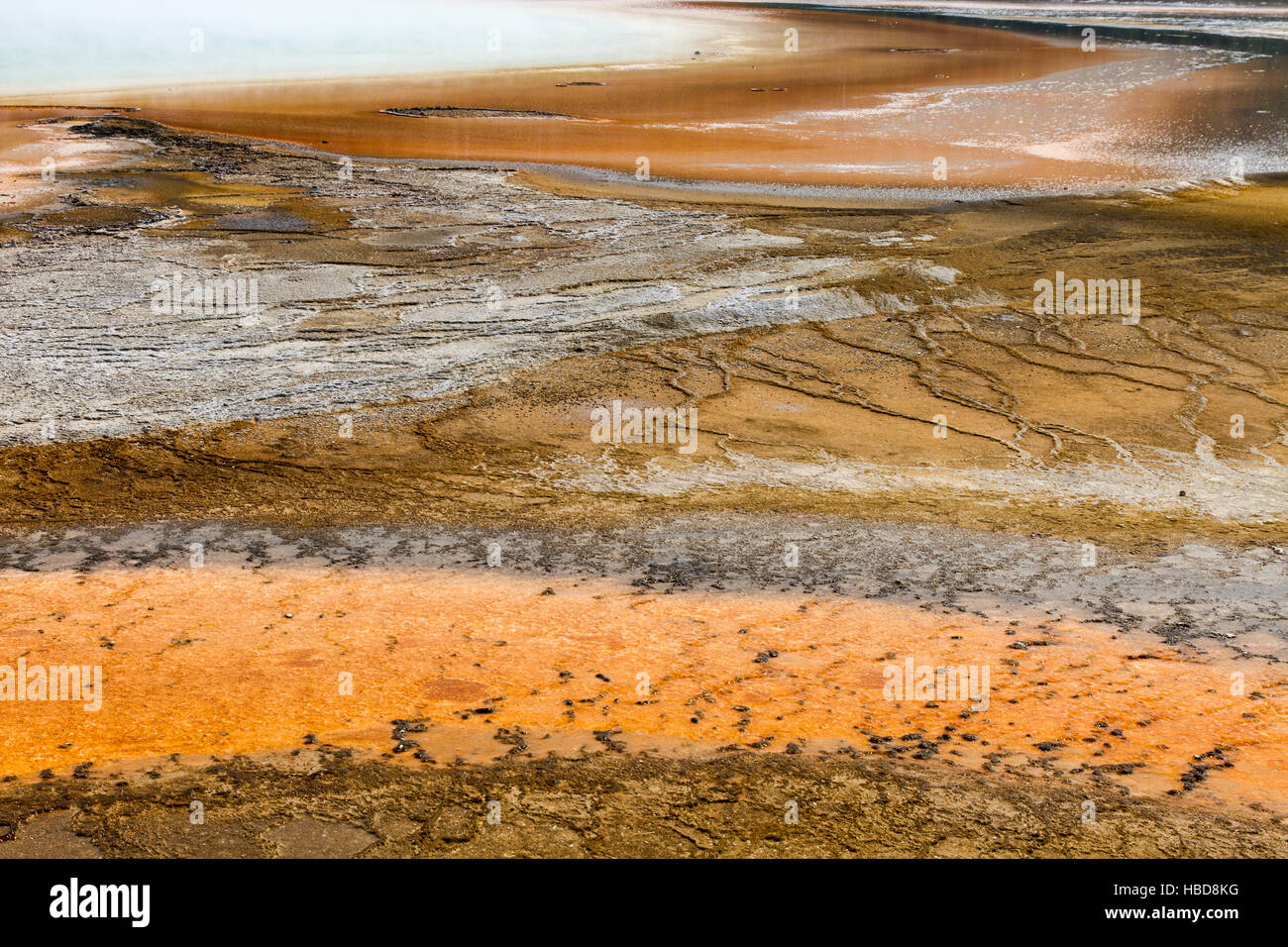 Grand Prismatic Spring 25 Stockfoto