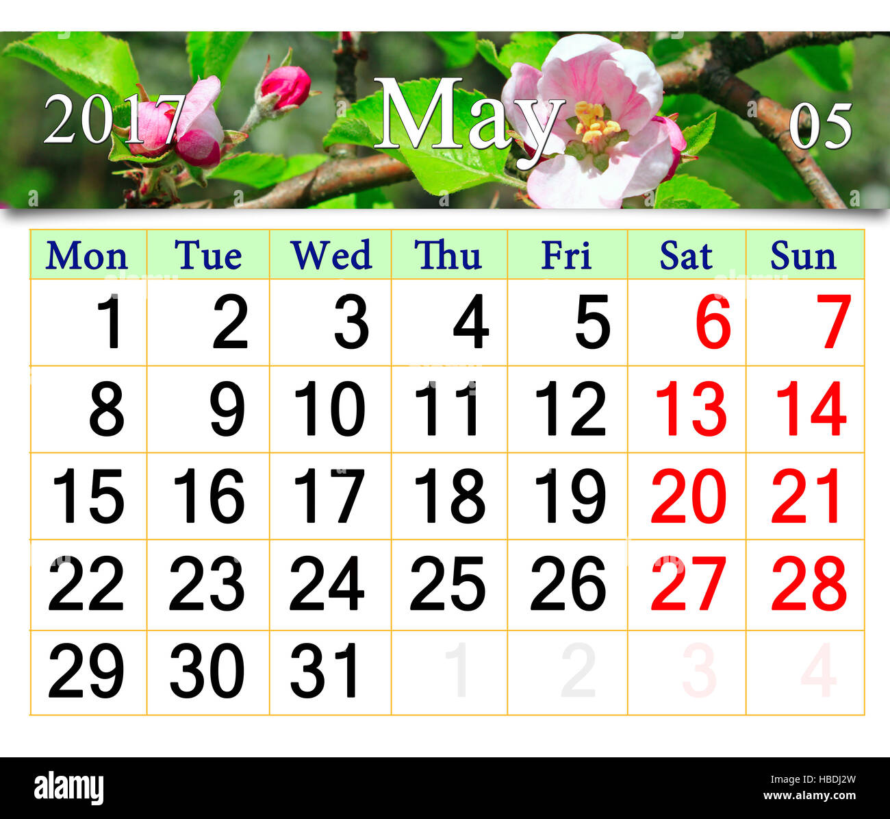 Kalender für Mai 2017 mit rosa Knospen der blühenden Apfelbaum Stockfoto