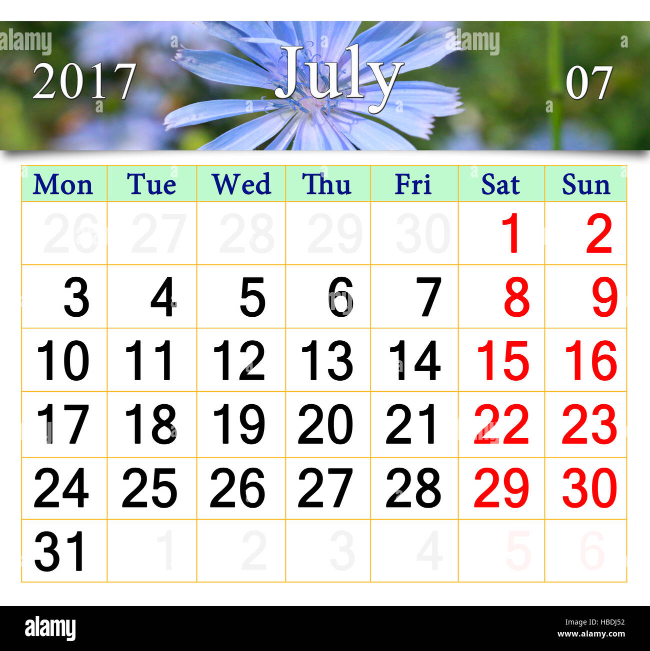 Kalender für Juli 2017 mit Bild der Blume des Cichorium Stockfoto