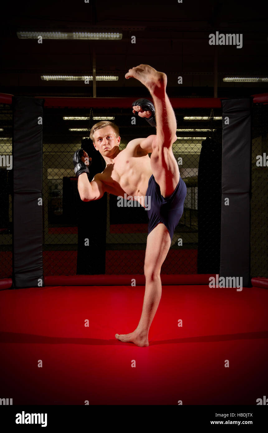 Junge Kickboxer in Sporthalle Stockfoto