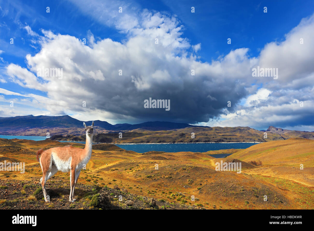 Schöner Tag in Patagonien Stockfoto