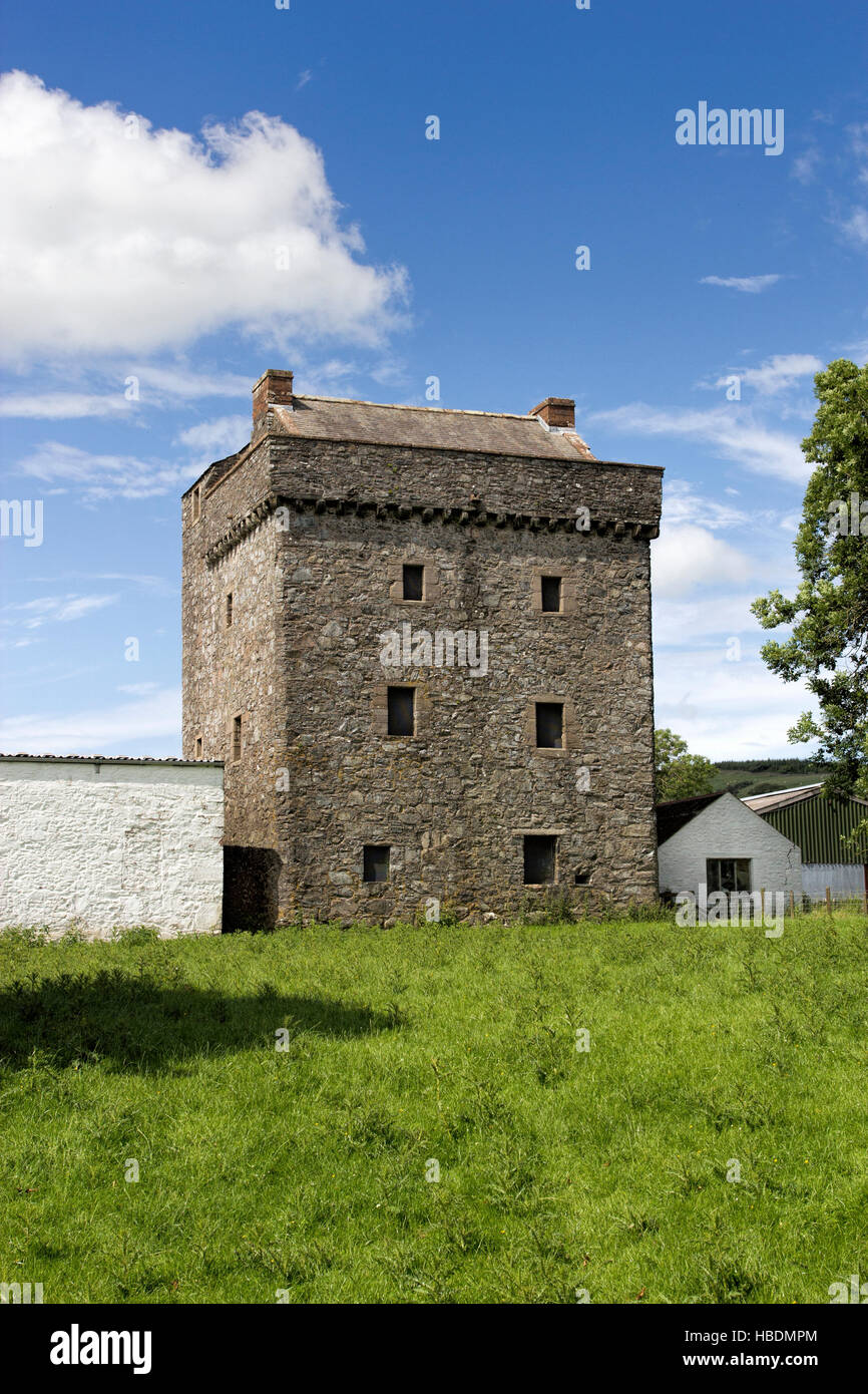 Drumcoltran Tower in der Nähe von Kirkgunzeon, Dumfries and Galloway, Schottland, Großbritannien Stockfoto