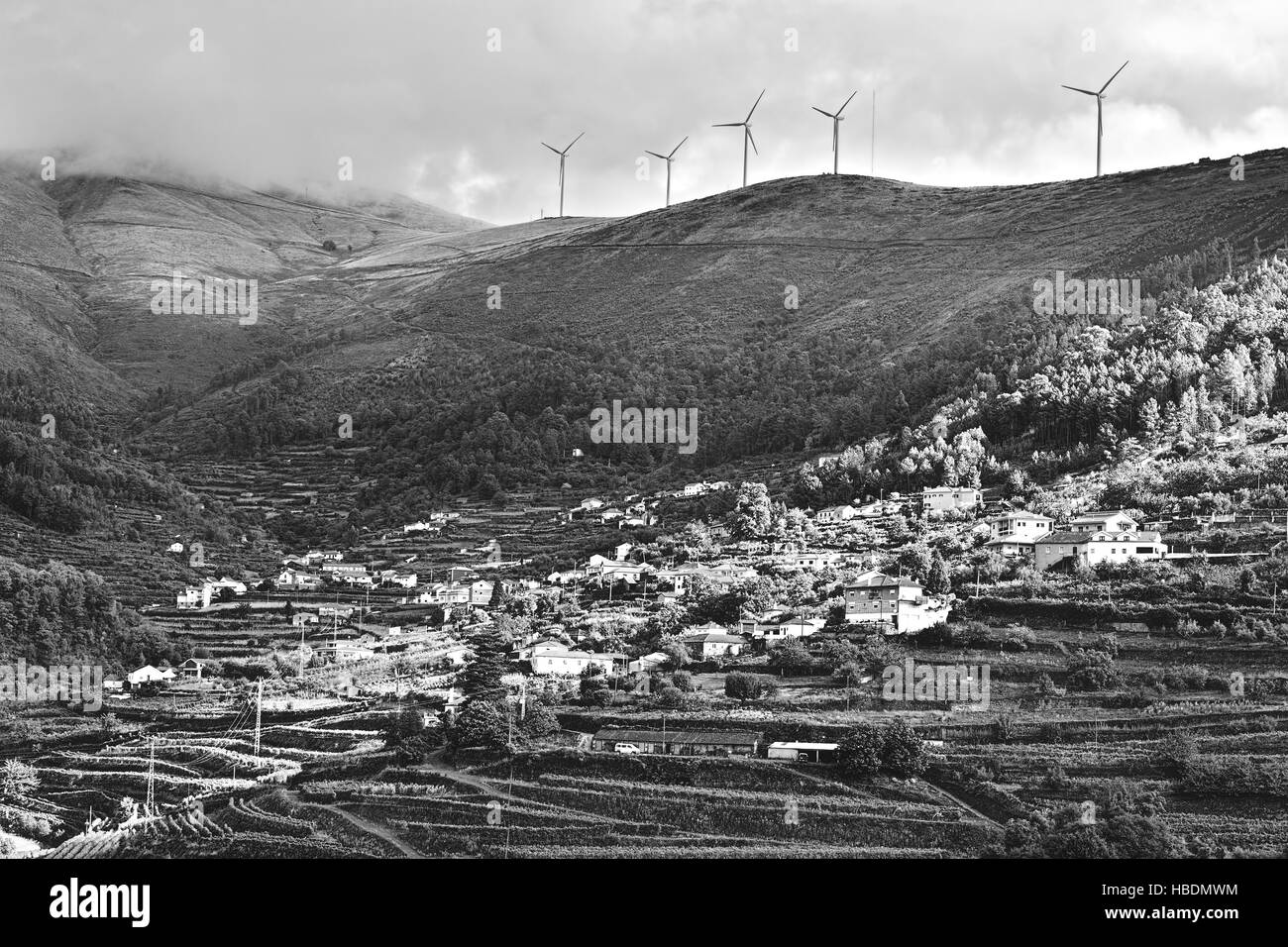 Windkraftanlagen über Weinberge Stockfoto