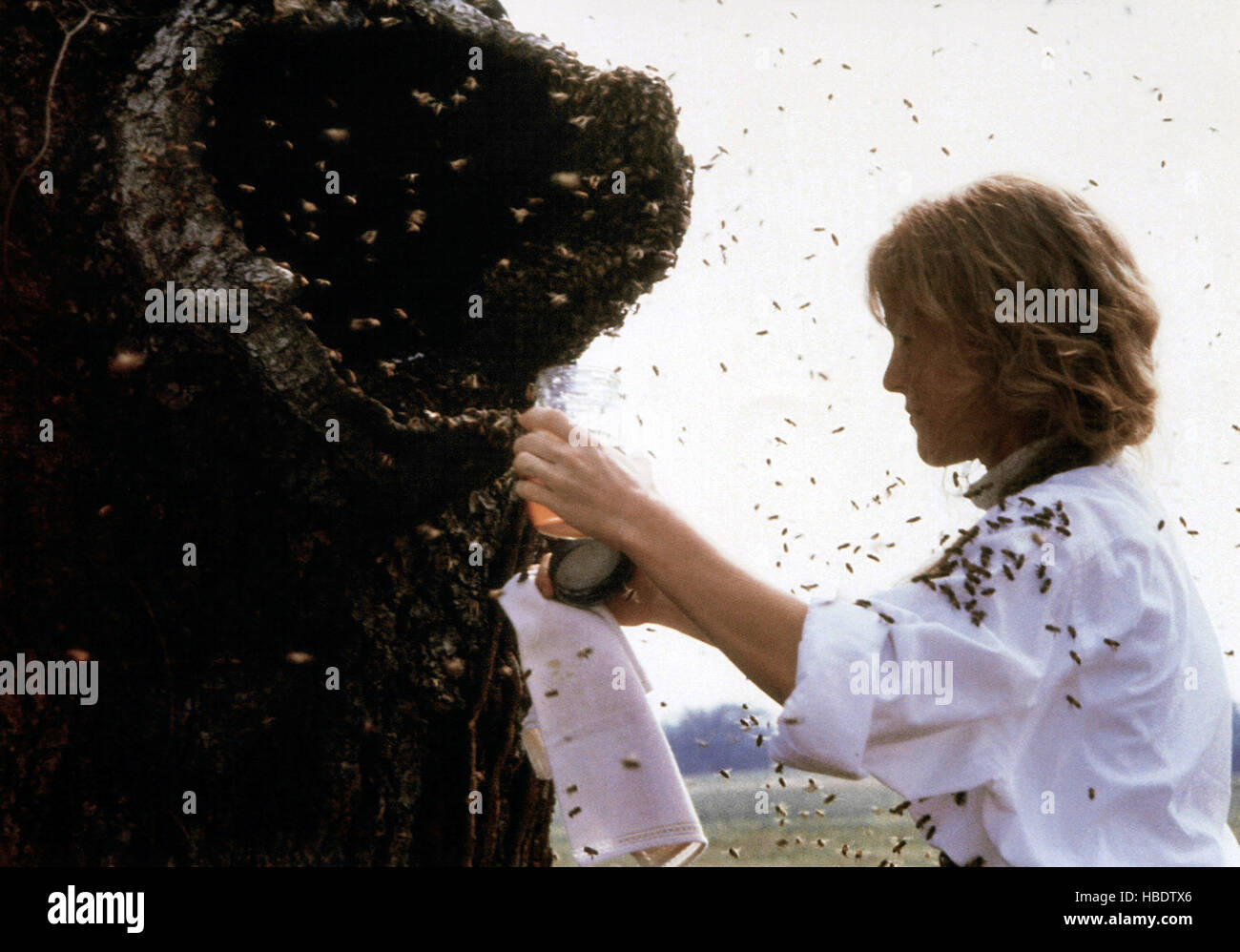 GEBRATENE grüne Tomaten, Mary Stuart Masterson, 1991. © Universal ...
