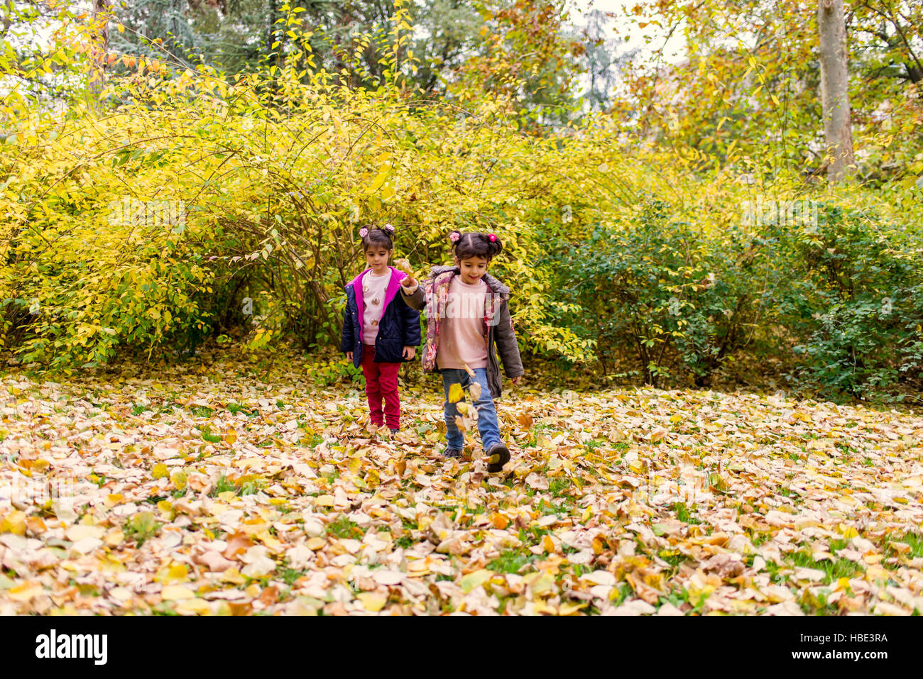 Zwei kleine Mädchen, die Spaß im Herbst park Stockfoto