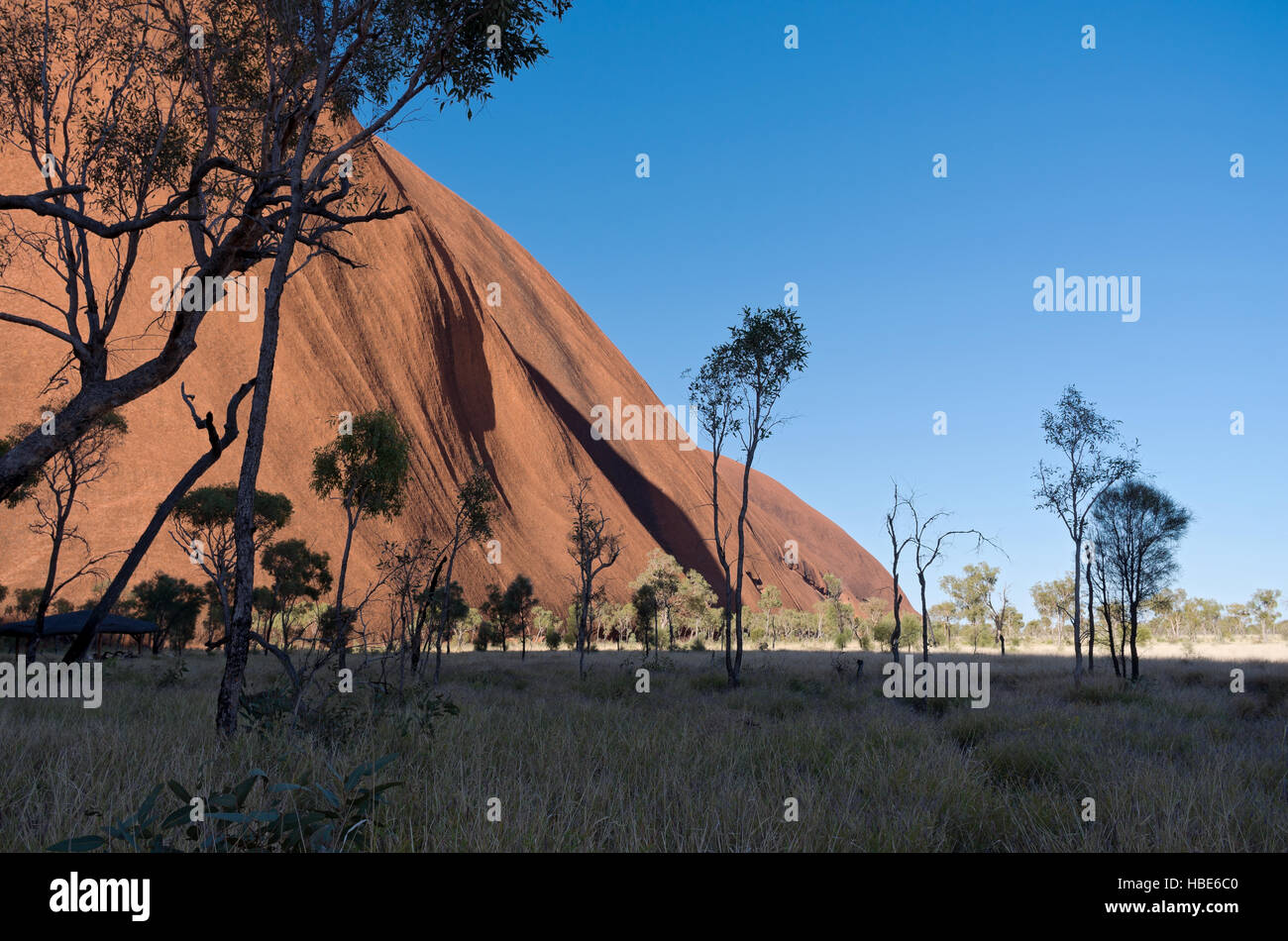 Uluru Ridge und Wüstenebene gegen blauen Himmel im nördlichen Gebiet Australien Stockfoto