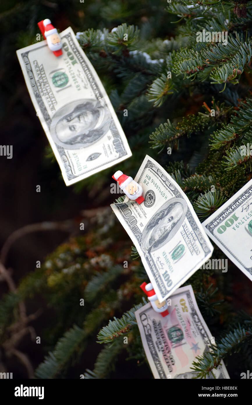 US-Dollar in einen Weihnachtsbaum hängen. Stockfoto