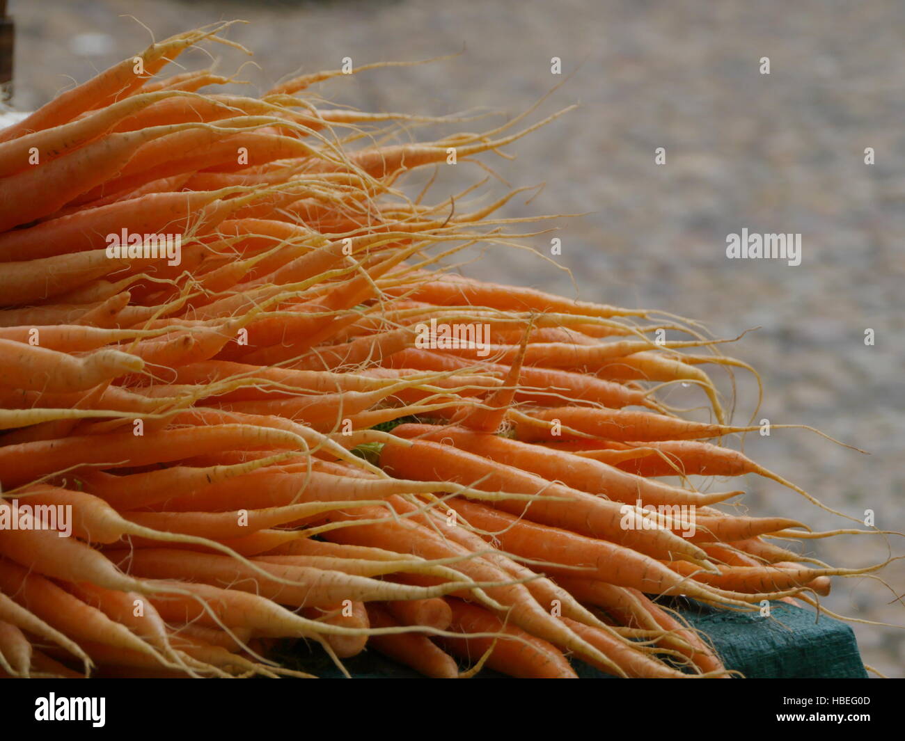 frische Karotten Stockfoto