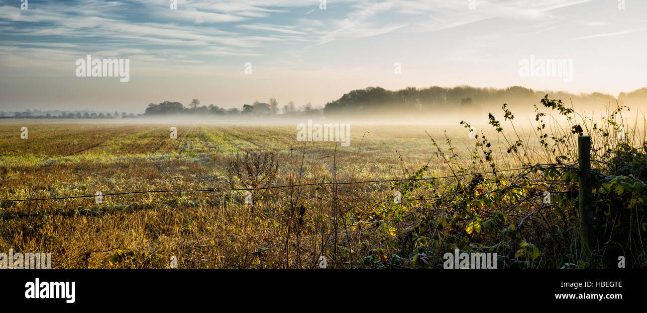 Rushmere St Andrew. England UK. Nebel verweilend über einen Bauernhof Feld An einem frostigen Morgen schafft eine stimmungsvolle Landschaft. Das clearing Skies hinzufügen, um das Drama. Ein Blick über den Zaun in den Vordergrund suchen und eine Reihe von Bäumen und Hecken schwach bilden die fernsicht über die steigende Nebel. Stockfoto