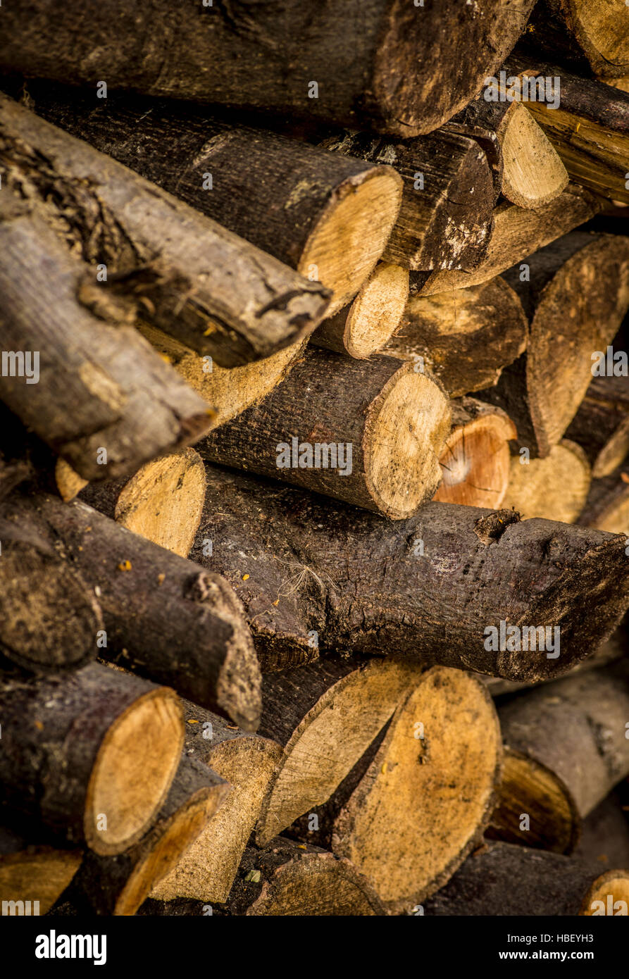 Meldet im Garten laden zum Winter brennen am Herd Stockfoto