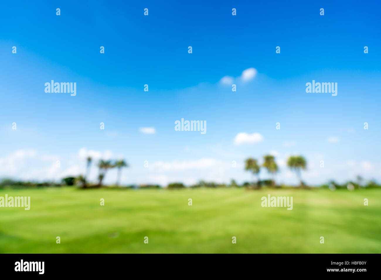 Golfplatz oder grünen Wiese Unschärfe Hintergrund, Textfreiraum am blauen Himmel, Sport oder Natur-Konzept Stockfoto