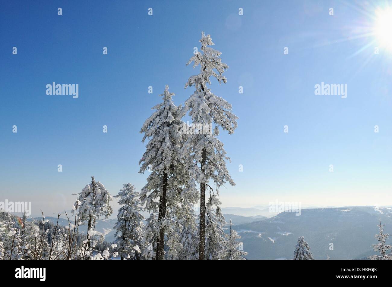 Winterliche Idylle in den Bergen Stockfoto