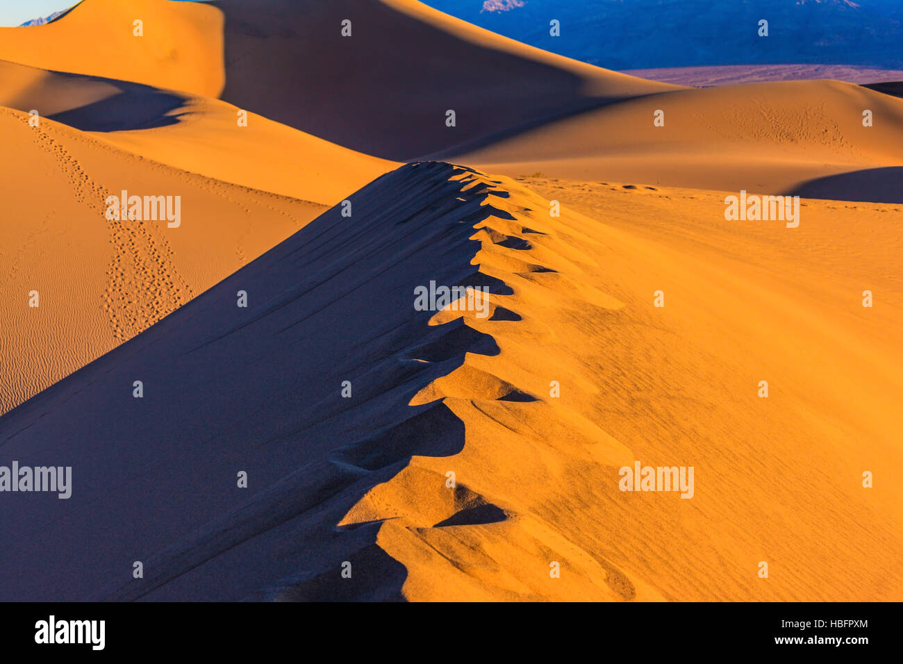 Sandy Desert Stockfoto