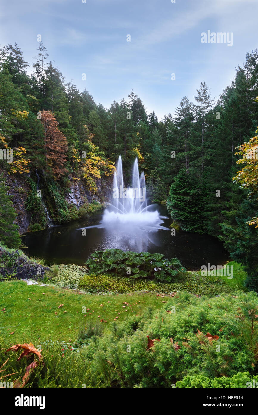 Die stillen Waldsee Stockfoto