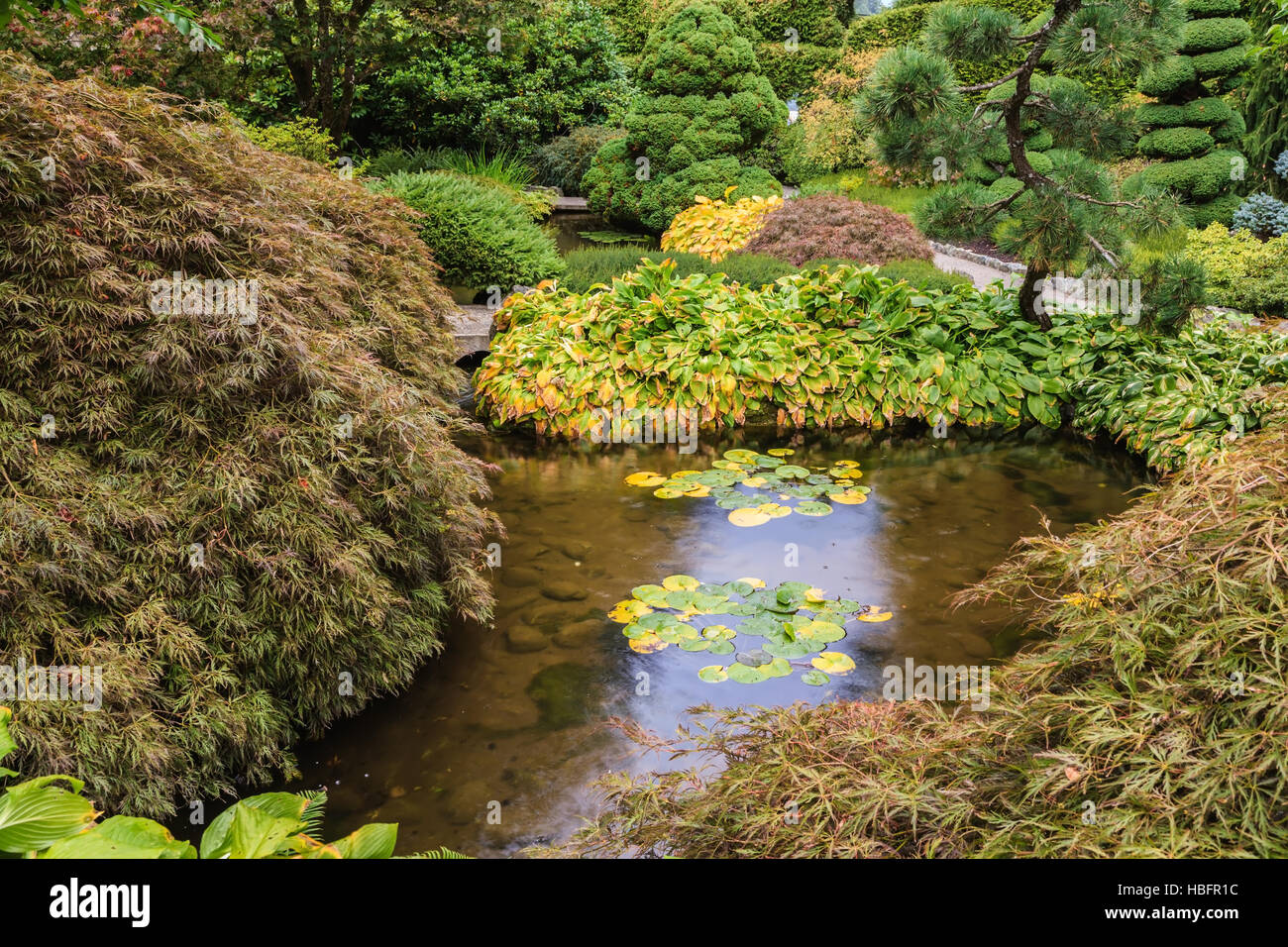 Ruhigen kleinen Teich Stockfoto