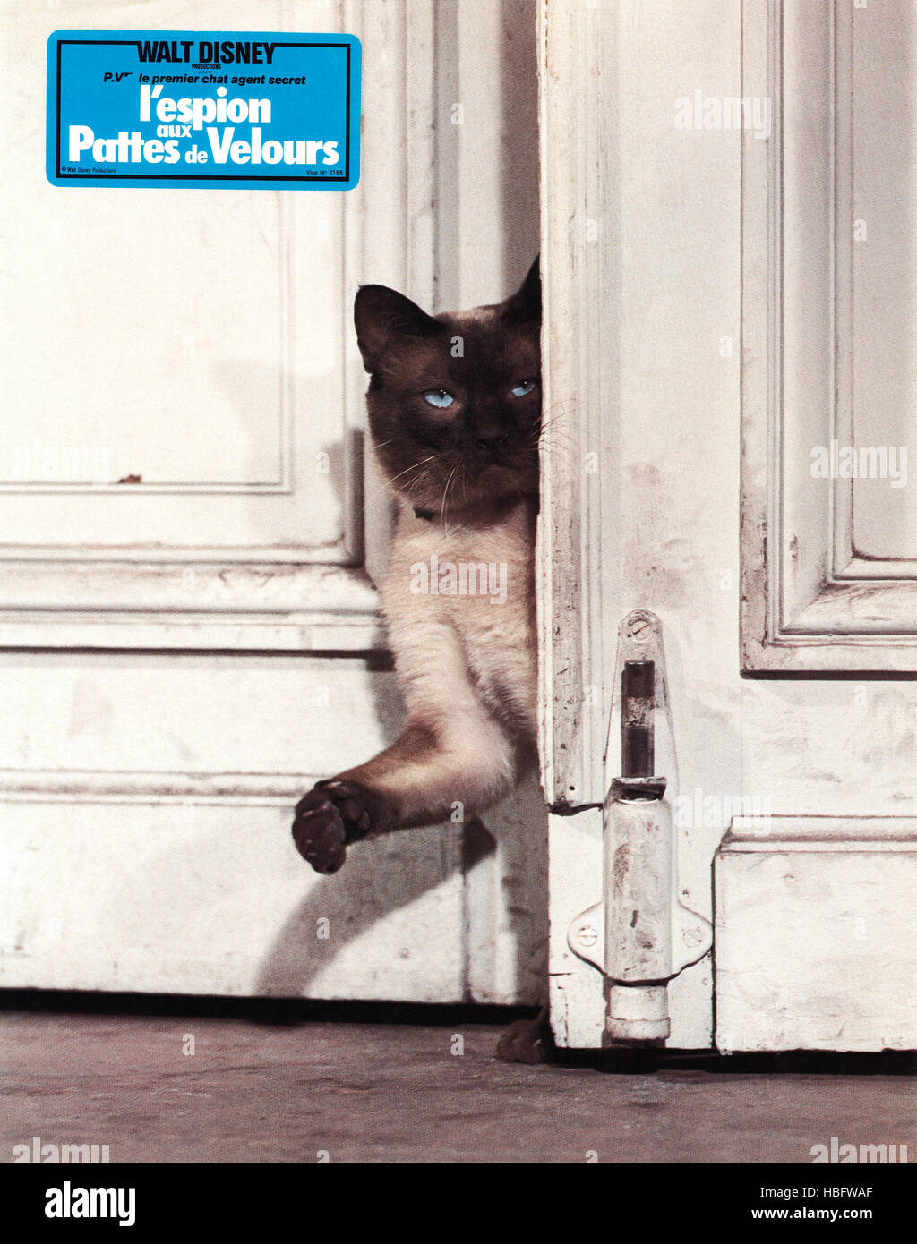 Diese DARN CAT!, (aka Espion AUX PATTES DE VELOURS), 1965 Stockfoto