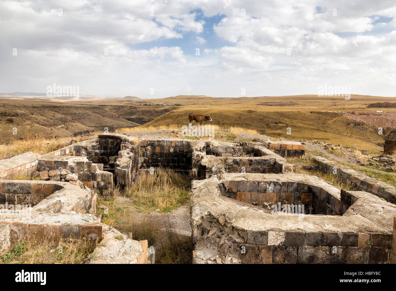 Die Ruinen von Ani, Kars, Türkei. Stockfoto