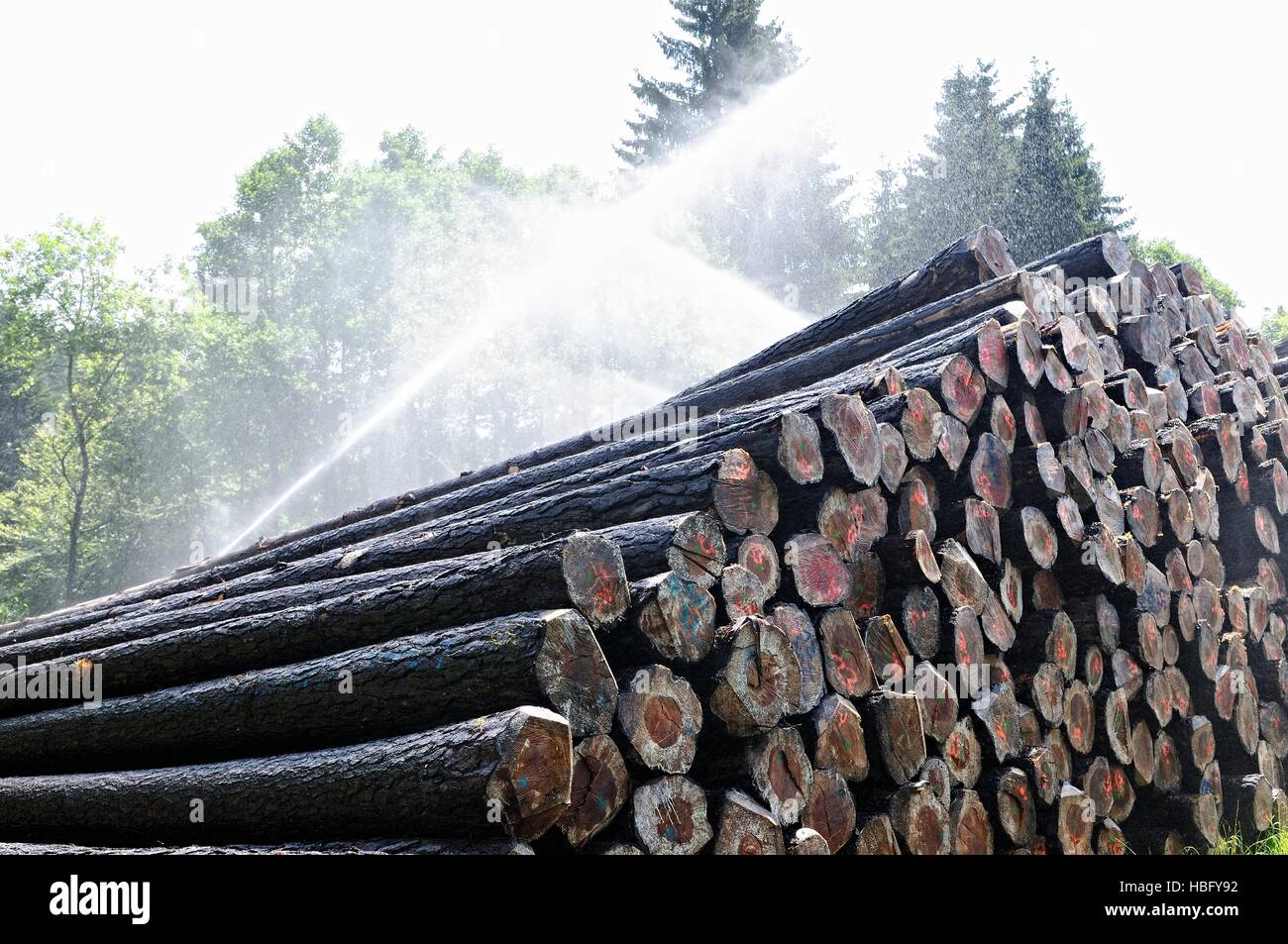 Holzlagerplatz mit Sprinkleranlage Stockfoto
