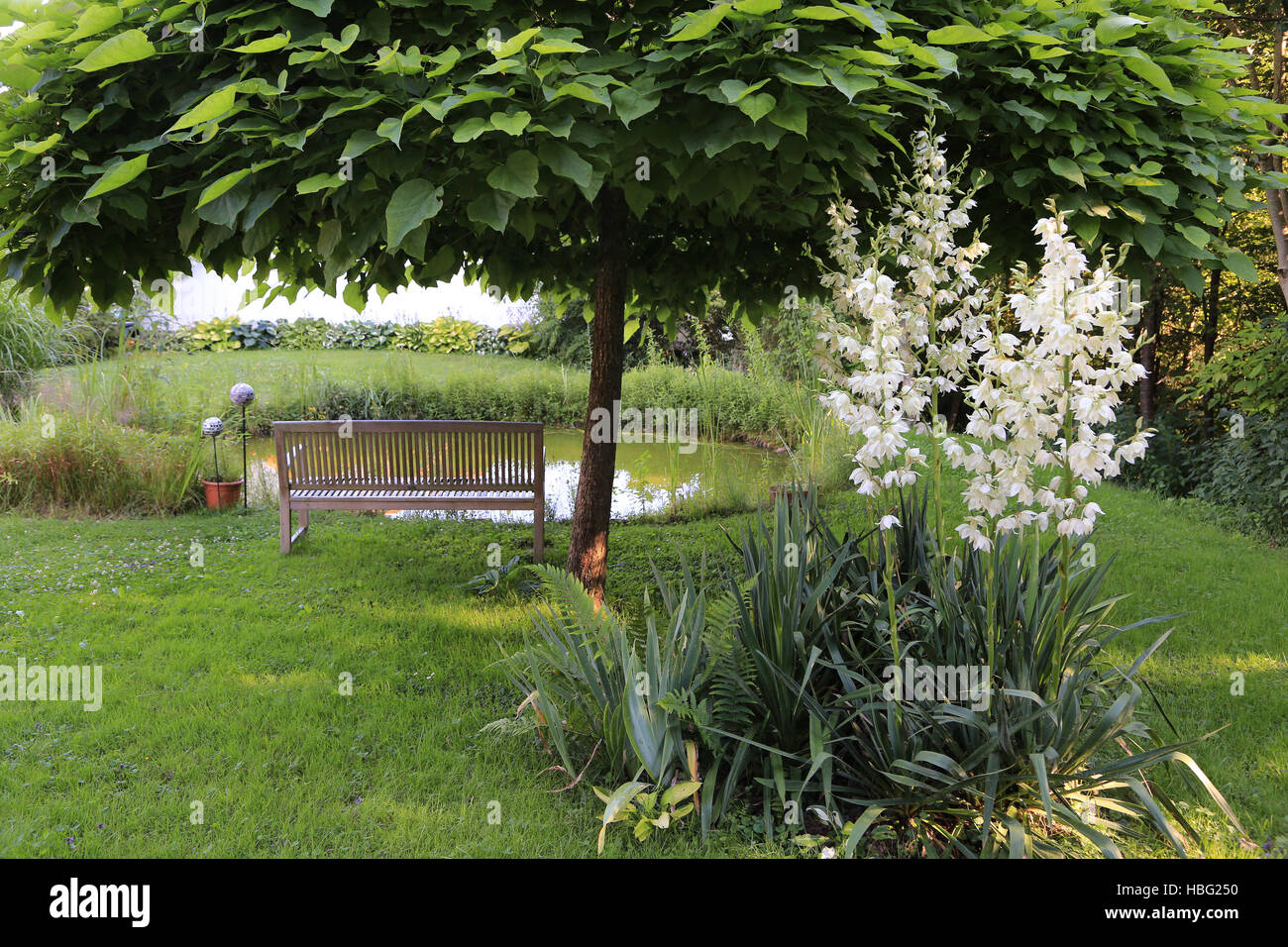 Teich mit Baum und schmal-Blatt yucca Stockfoto