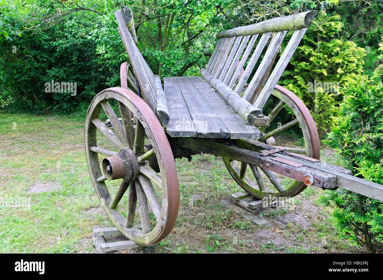 Leiter Wagen Stockfoto