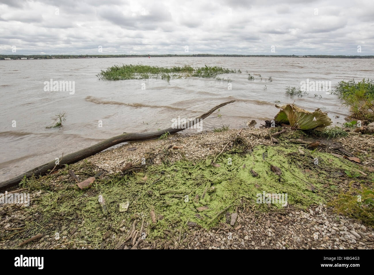 Bank auf dem Mississippi River in der Nähe von Nauvoo, Illinois. In der Nähe des 19. Jahrhunderts Fähre Überfahrt für den Mormon Trail. Stockfoto