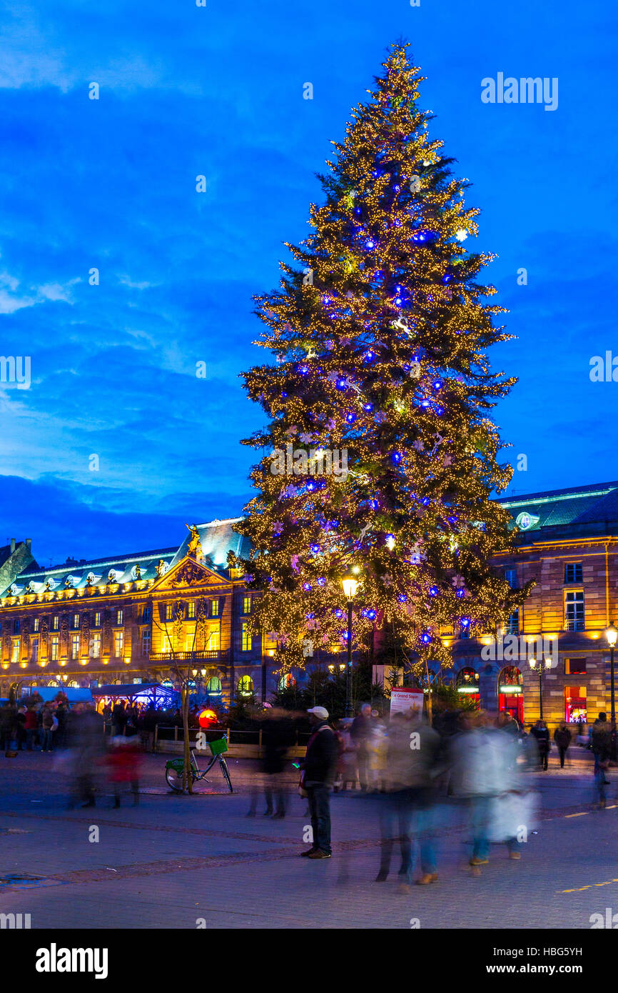 Der große Weihnachtsbaum in Place Kleber in der Weihnachtszeit. In Straßburg. Bas-Rhin. Das Elsass. Frankreich Stockfoto