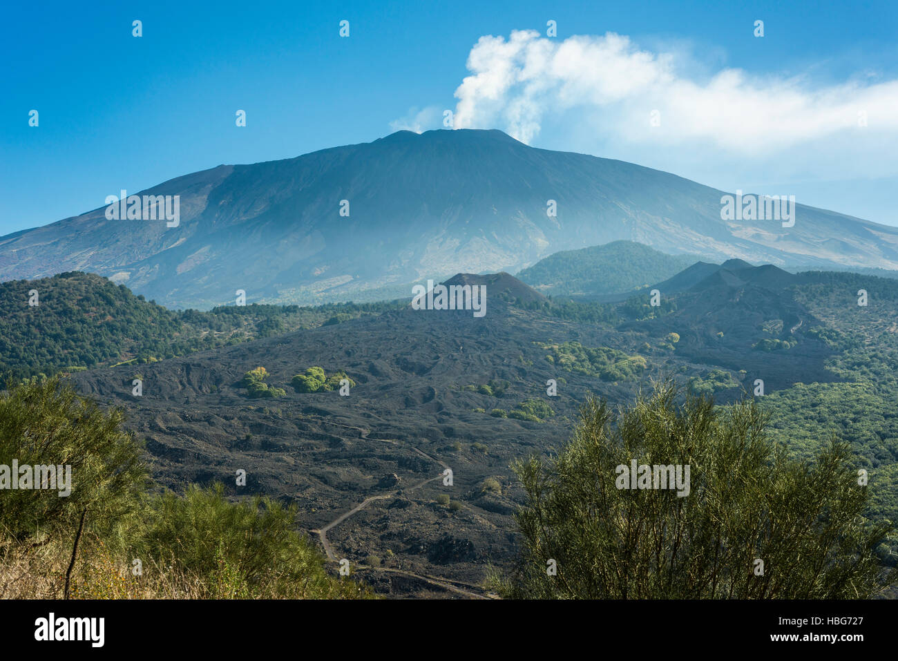 Blick vom Monte Ruvolo des Ätna Westflanke, mit Monte Nuovo und Mount Lepre, Vulkane, Lavafeld ab 1763 Stockfoto