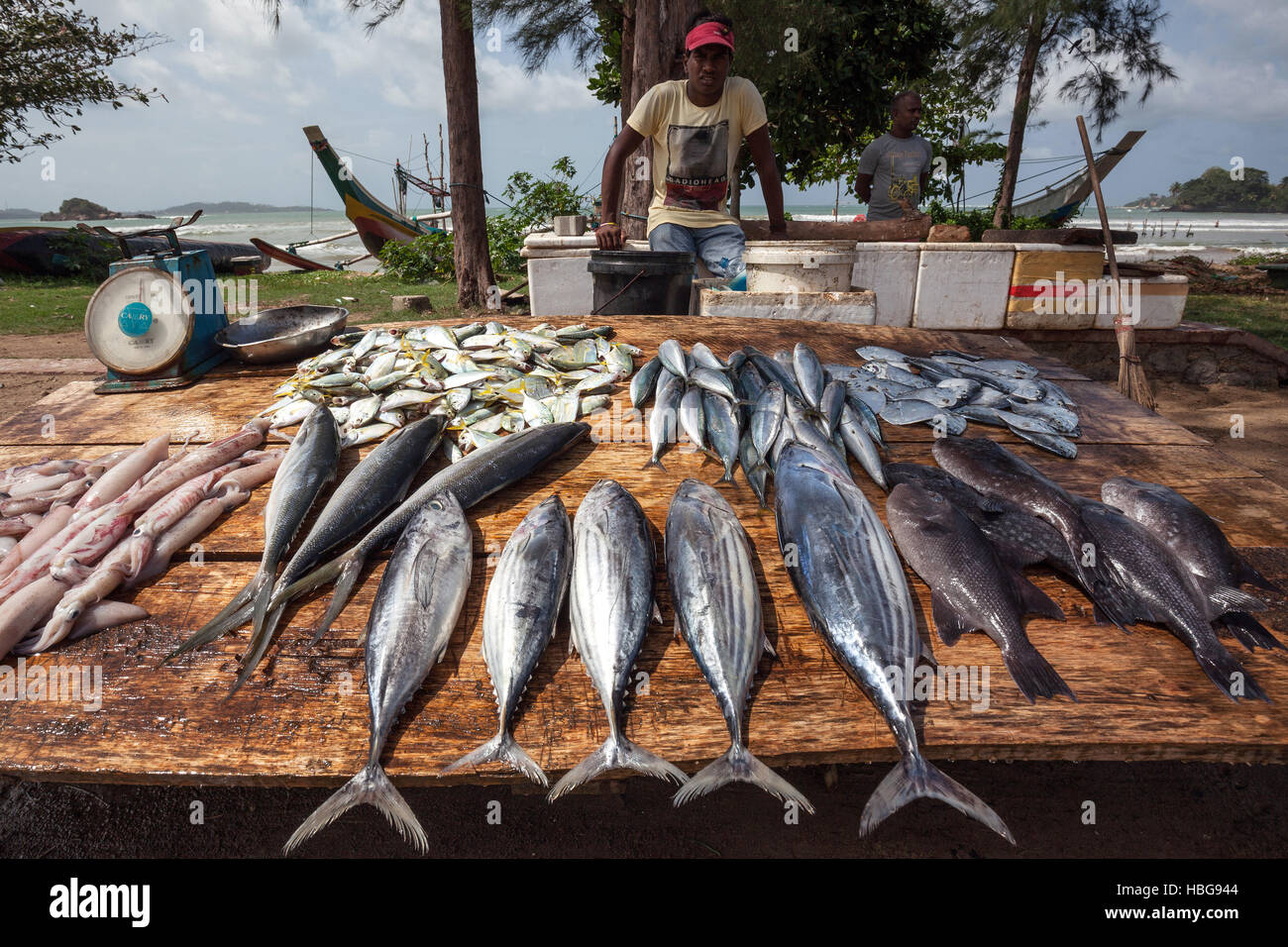 Lokale singhalesischen Mann verkaufen frischen Fisch am Straßenrand, Weligama, südlichen Provinz, Sri Lanka Stockfoto