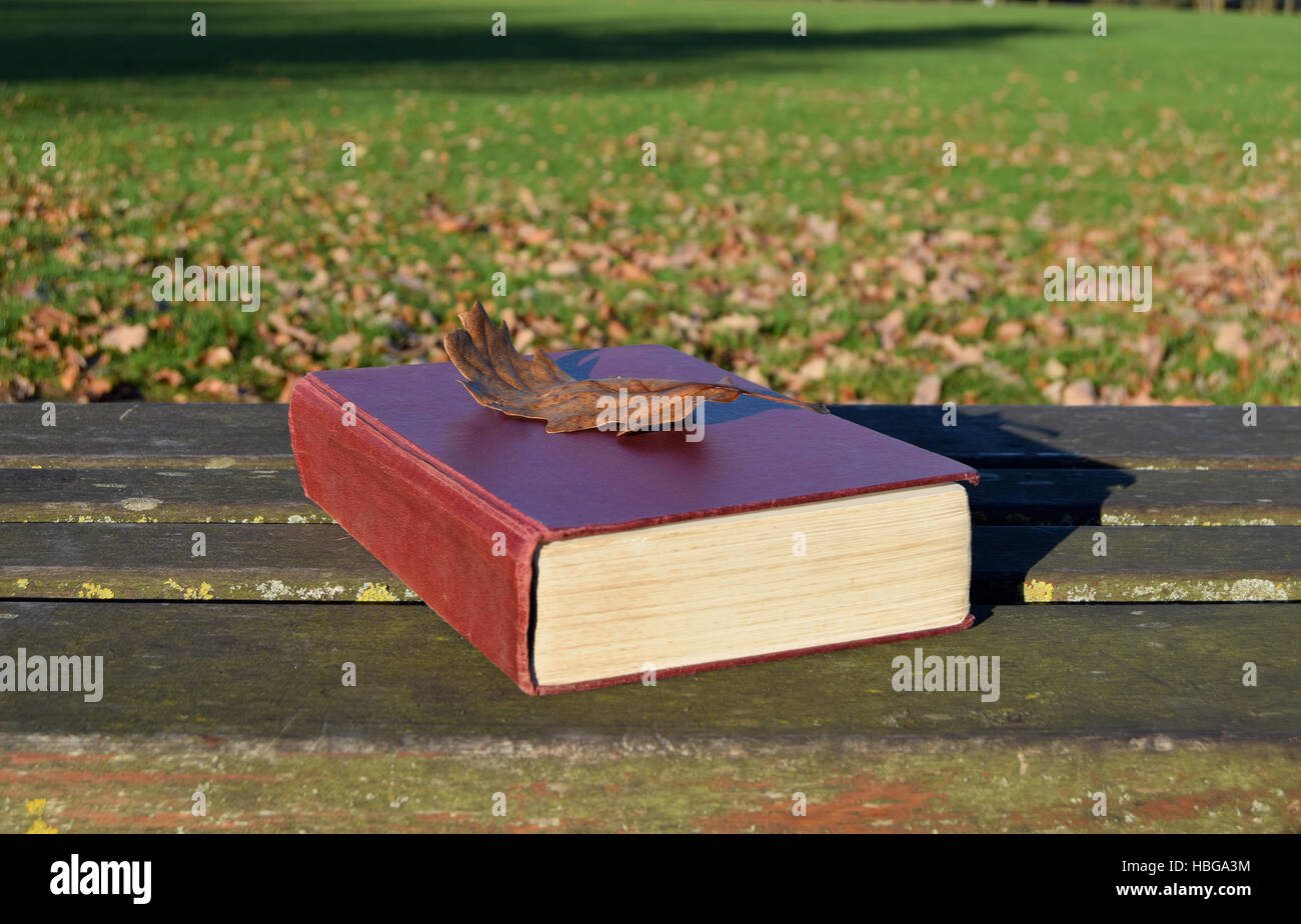 Lesung im Park an einem Herbsttag Stockfoto