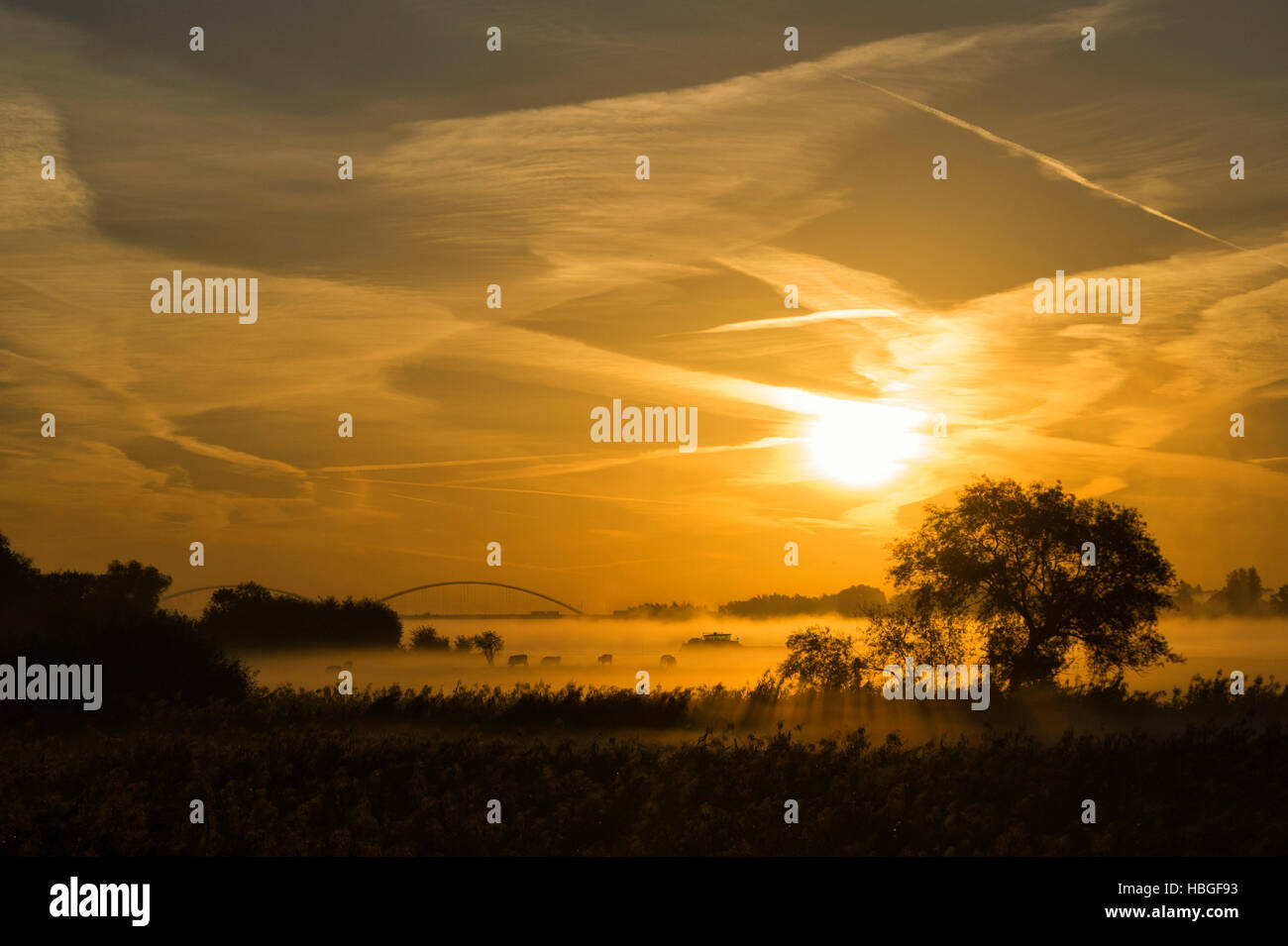 Boven merwede fluss Fotos und Bildmaterial in hoher Auflösung Alamy