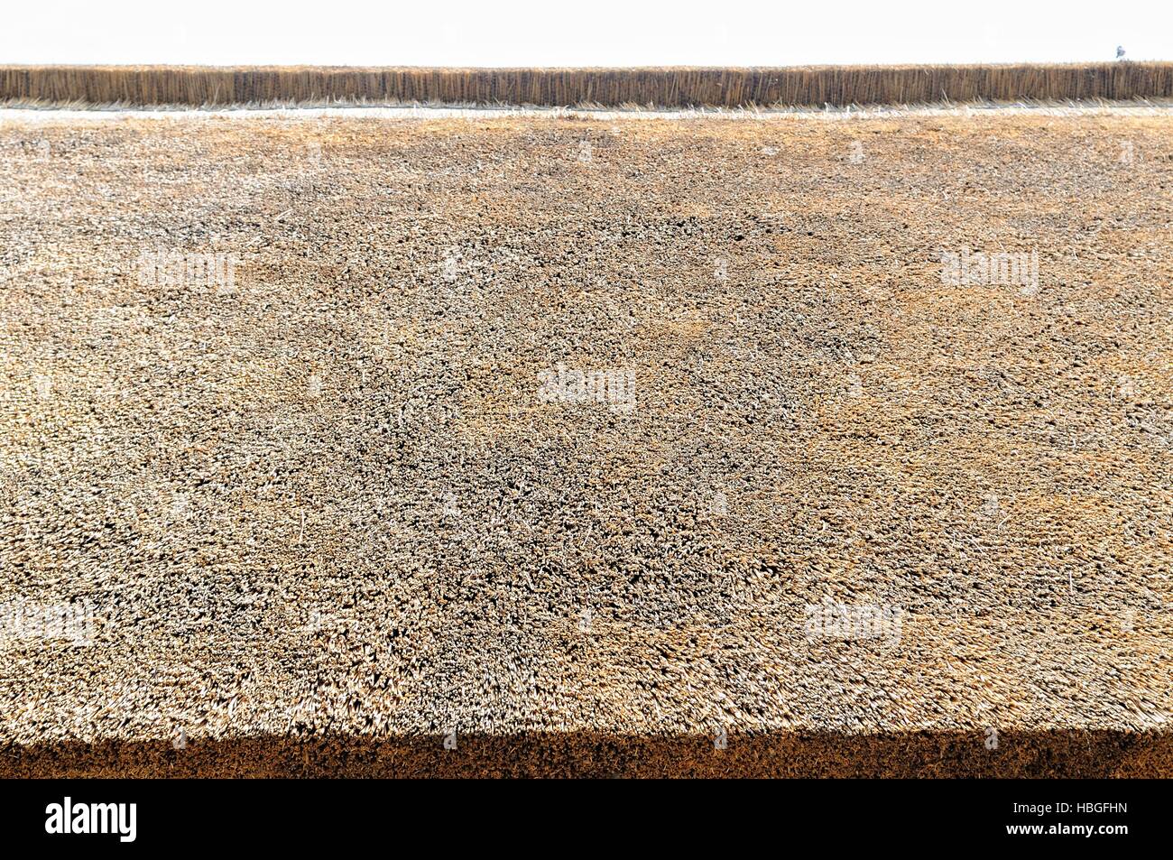 neue überdachte Strohdach Stockfoto