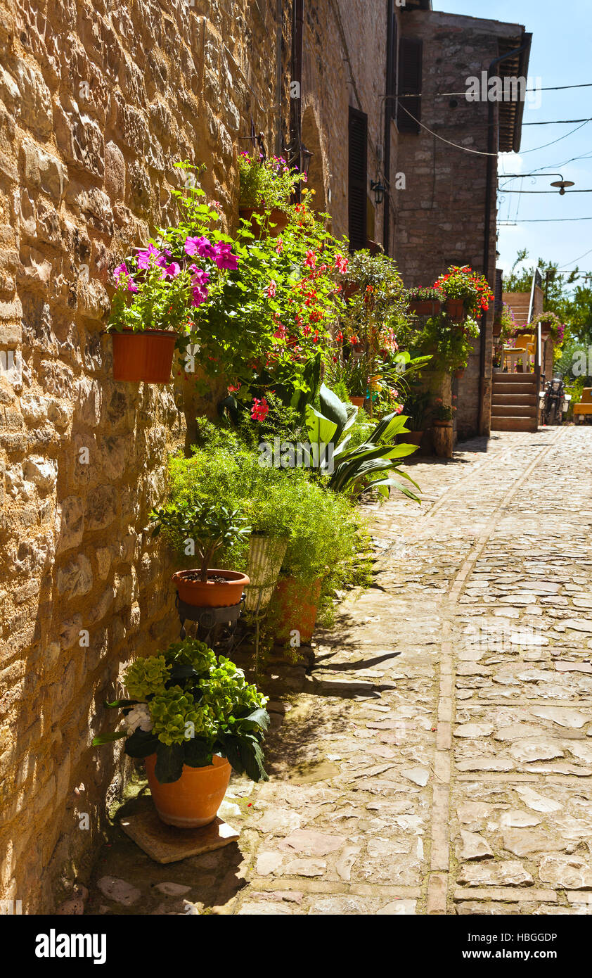 Schöne Straße in Spello. Italien Stockfoto