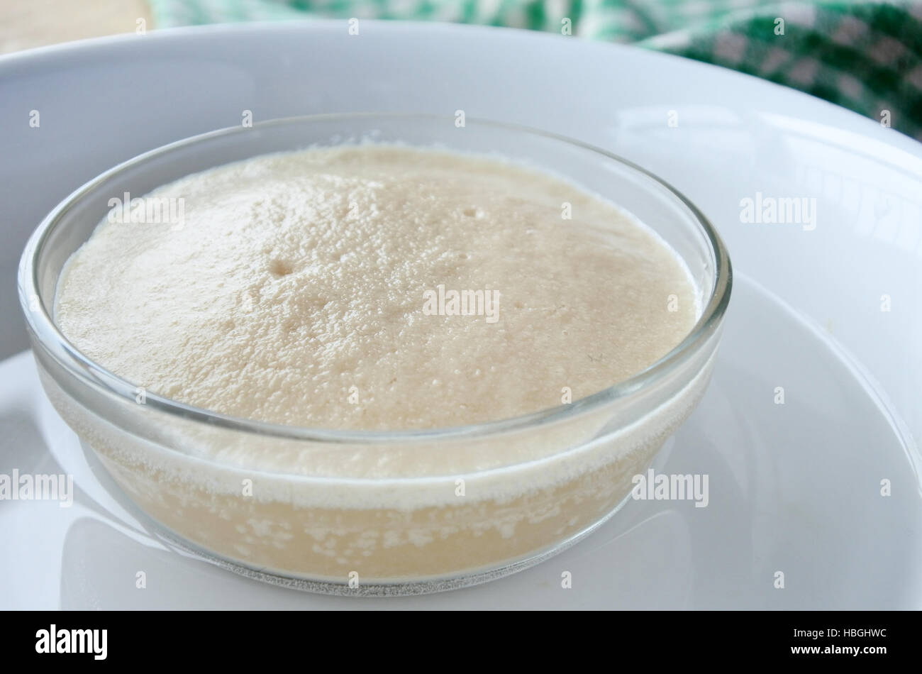 Hefe Knospung Stockfotos und bilder Kaufen Alamy