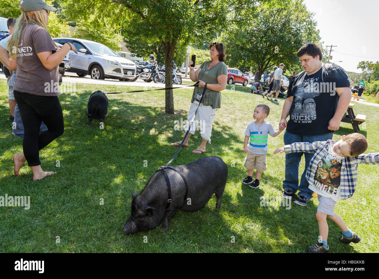 Frau und ihr Haustier Hängebauchschwein aufmerksam, Little Falls, Herkimer County, New York, Stockfoto
