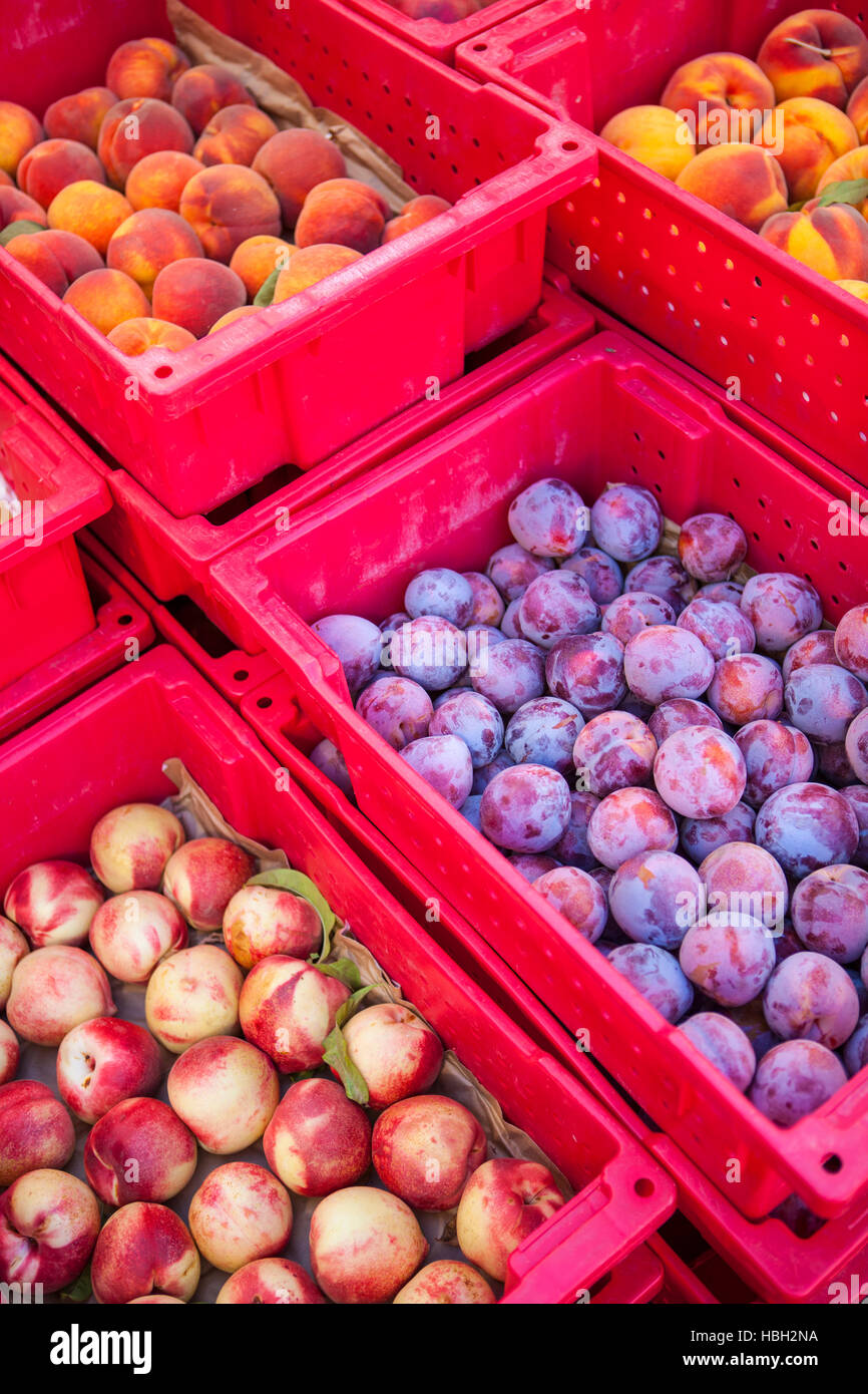 Fälle von Pfirsichen, Pflaumen und Pluots, Farmers Market, Santa Barbara, Kalifornien Stockfoto