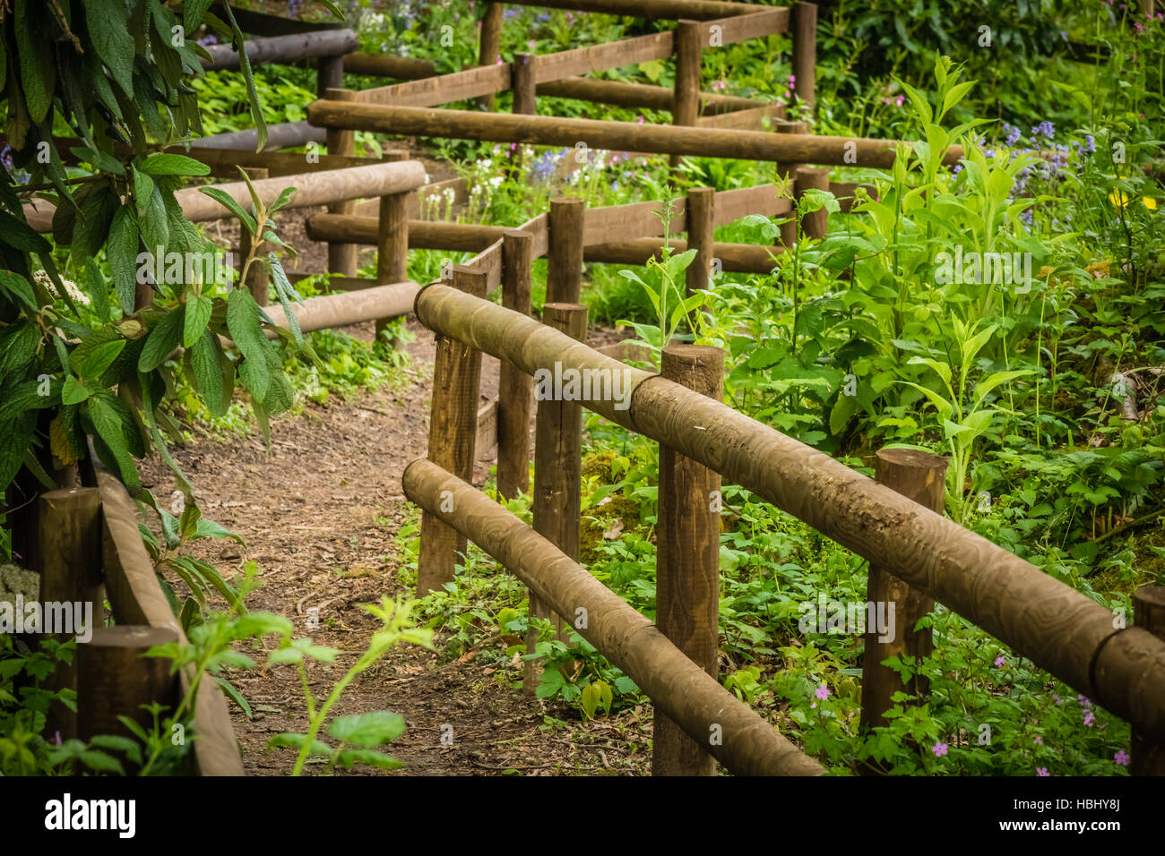 Hölzerne Weg Stockfoto