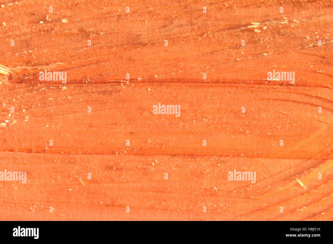 Wood Oberfläche von sequoia Stockfoto