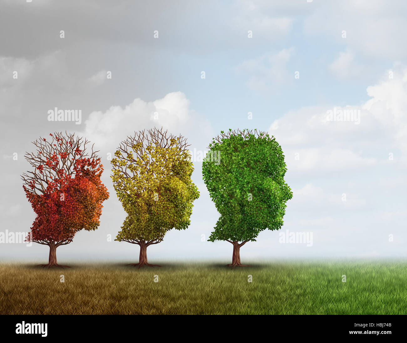 Behandlung von Demenz und Alzheimer Gehirn Speicher Krankheit Therapiekonzept als altem Baumbestand erholt als Neurologie oder Psychologie Heilung Metapher mit 3D illus Stockfoto