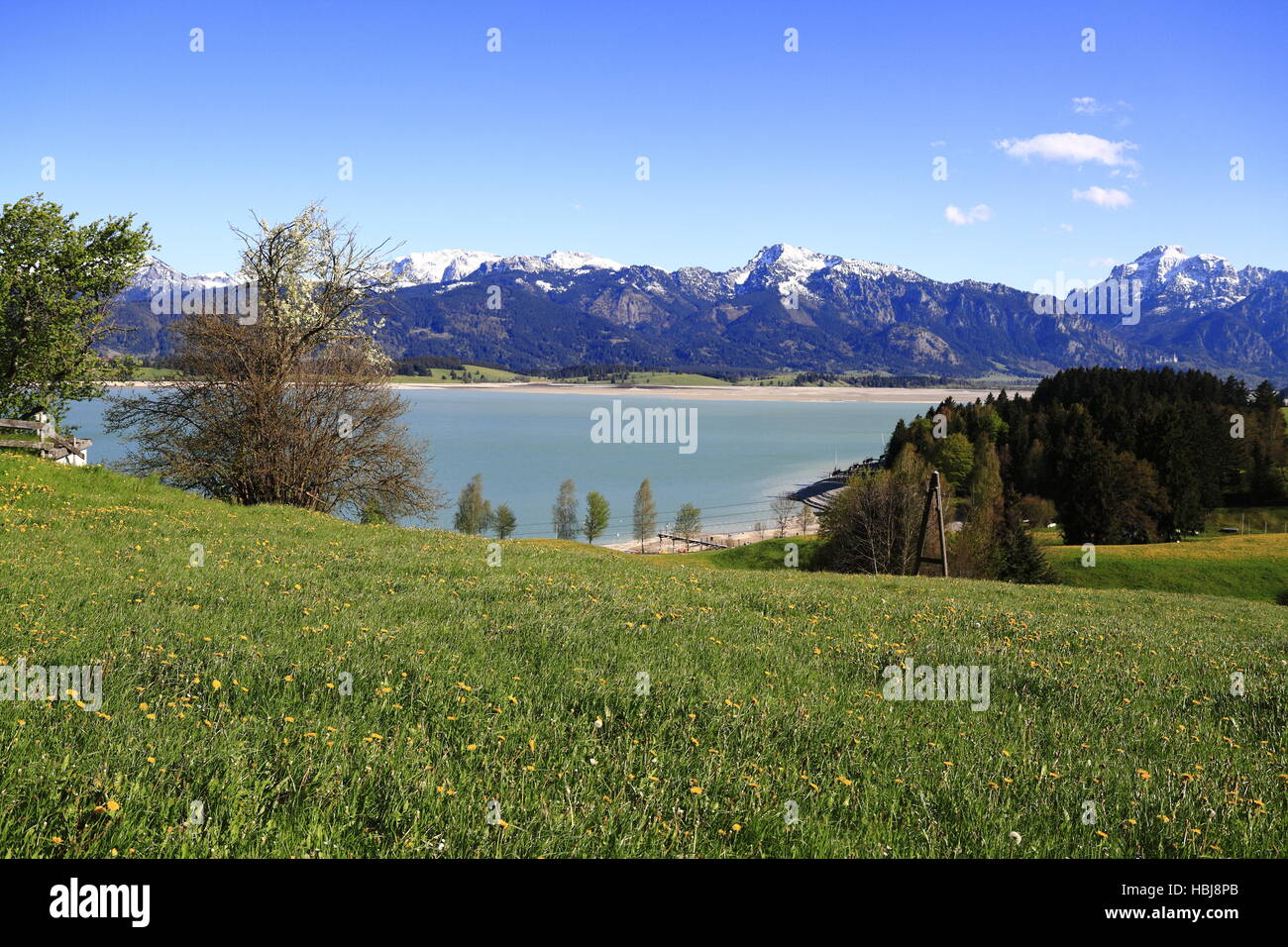 Hohenschwangau und Alpsee See Stockfoto
