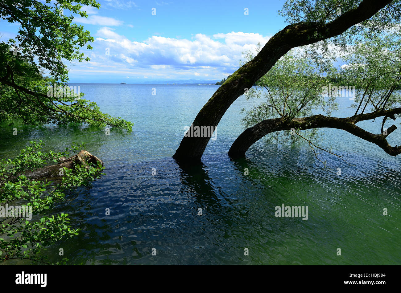 Bodensee, Deutschland Stockfoto