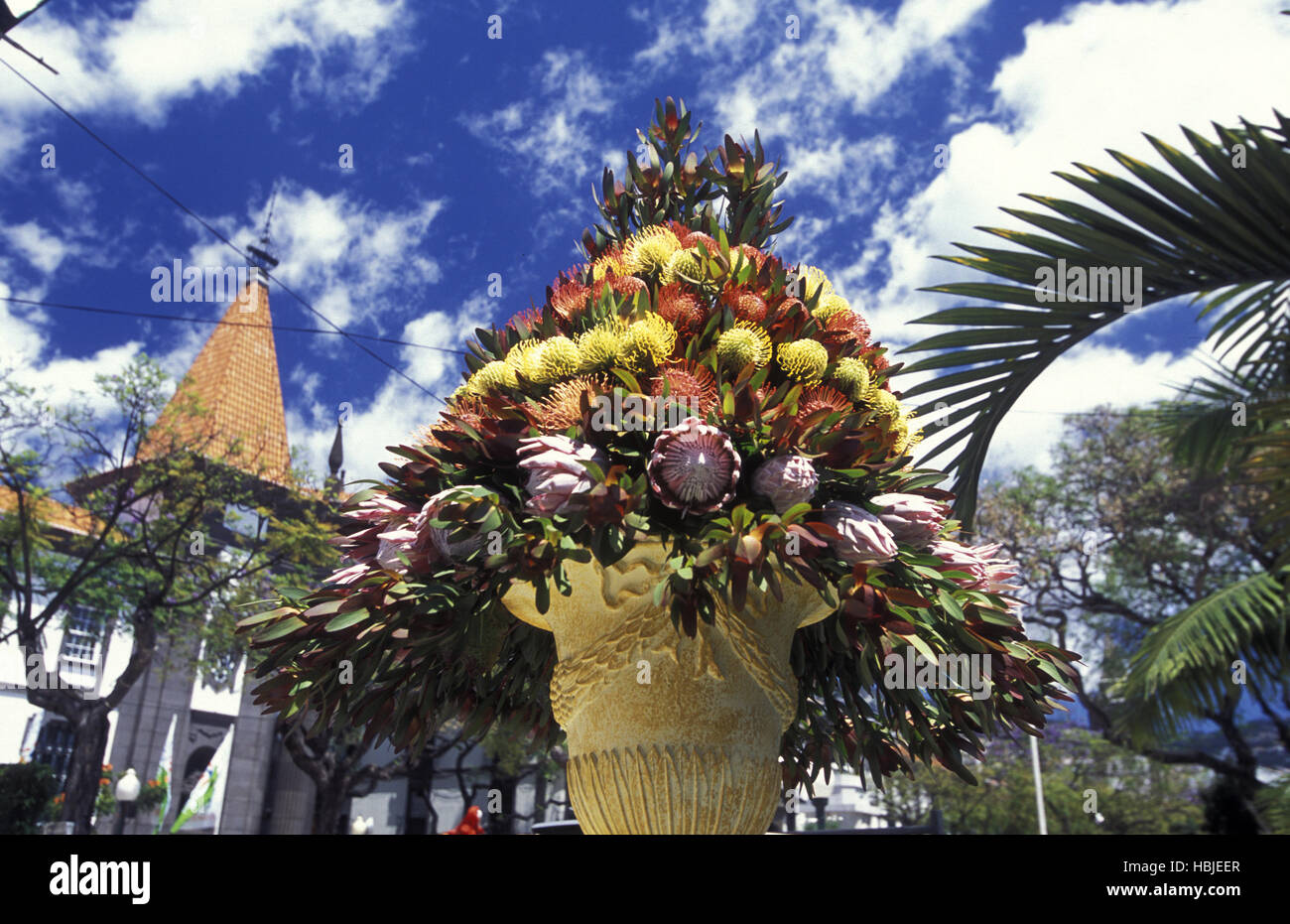 EUROPA-PORTUGAL-MADEIRA-FUNCHAL-BLUMENMARKT Stockfoto